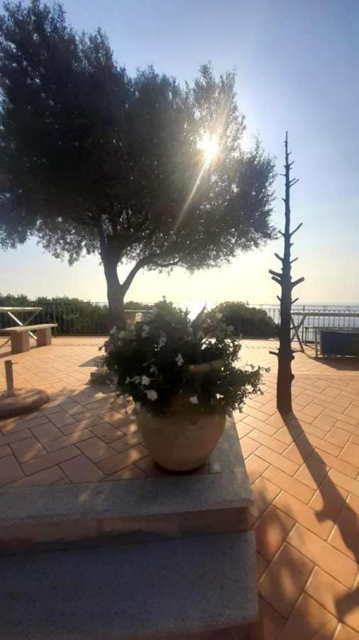 Hotel Turismo Rurale Villa Maria Caterina Кала-Гононе Екстер'єр фото